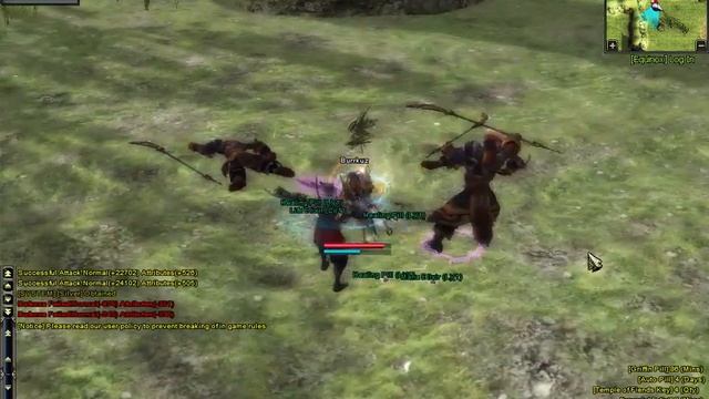 TwelveSky2 Mayngames Deity level success! смотреть онлайн