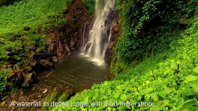 Hiking in Colombia: Jardín Antioquia смотреть онлайн