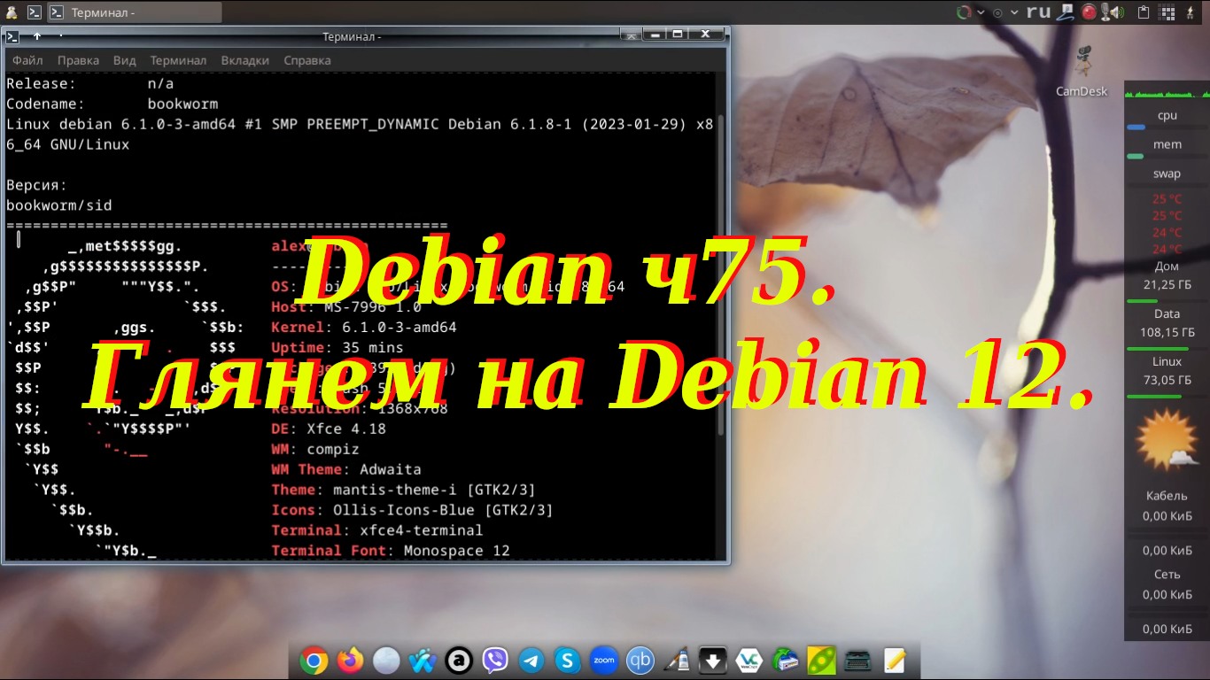 Debian ч75. Глянем на Debian 12 смотреть онлайн