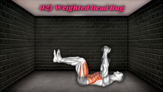 Do These Effective ABS Workout To Get 6 Pack : Abs Exercise At Home