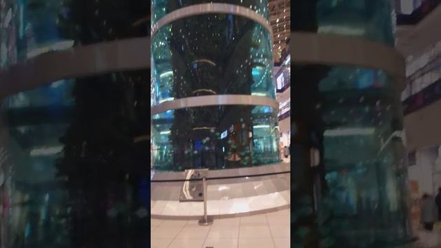 Aquarium Moscow, Самый большой Аквариум в Москве смотреть онлайн