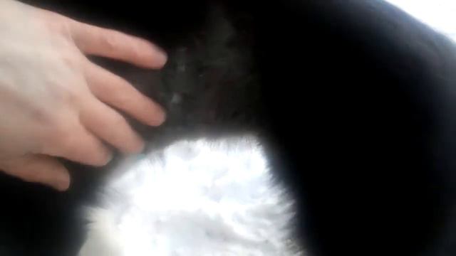 Кроха на больничном.