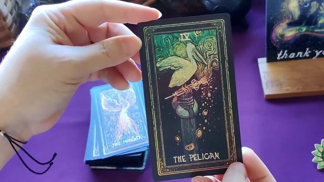 Cosma Visions Oracle Deck Kickstarter Unboxing and Flip-through смотреть онлайн