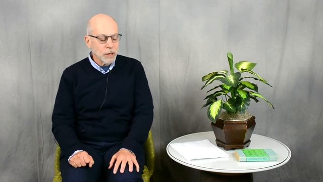 Raoul Birnbaum on Designing a Course смотреть онлайн