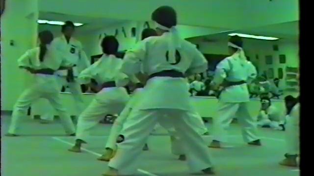Shotokan Blue Belt Promotion смотреть онлайн