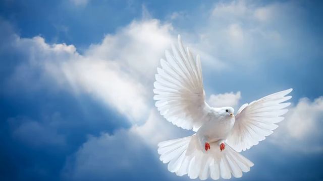 Nazareth _ Animals. Назарет_Животные смотреть онлайн