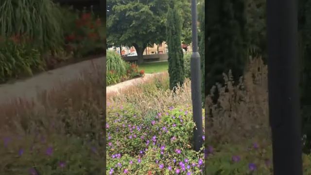 Halmstad city Sweden смотреть онлайн