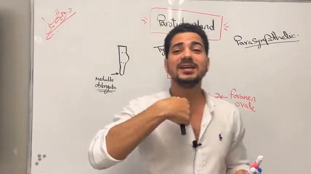 parotid gland 2 Dr Wagih ElHusseiny GIT Anatomy смотреть онлайн