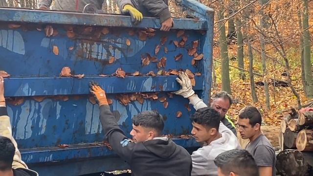 TATRA Rides | V lese смотреть онлайн