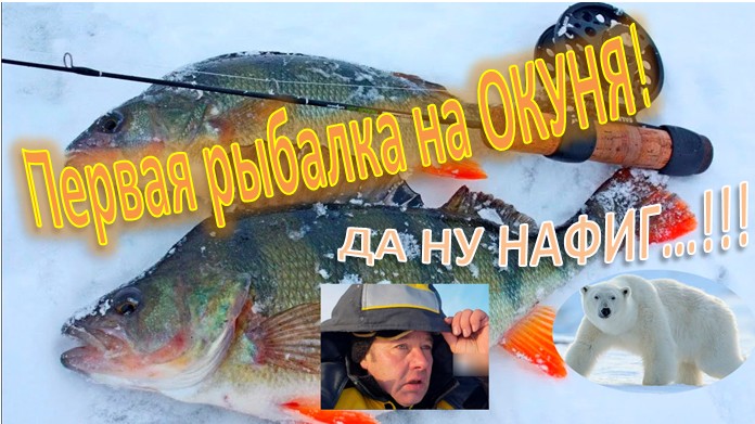 Первая рыбалка на крупного ОКУНЯ! "О...куневешная рыбалка получилась!" смотреть онлайн