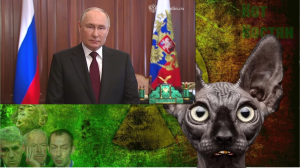 Уже завтра, друзья мои, уже завтра / Кот Костян