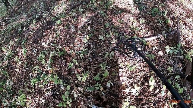 #163 Нашел энколпион с Анфибио смотреть онлайн