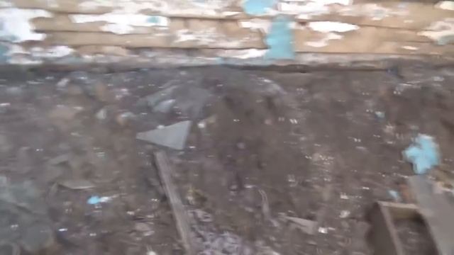 Не густо, но и не пусто - в поиске золота! смотреть онлайн