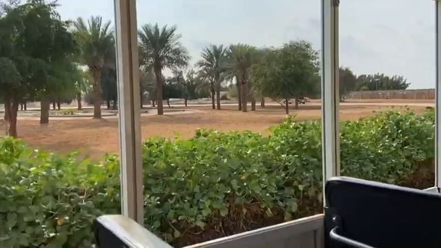 Сафари парк Дубай январь 2022 смотреть онлайн