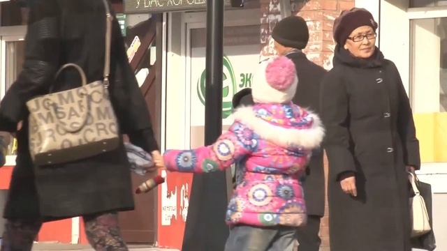 ЭКОНОМИКА ТУВЫ - Социально экономическое развитие республики смотреть онлайн