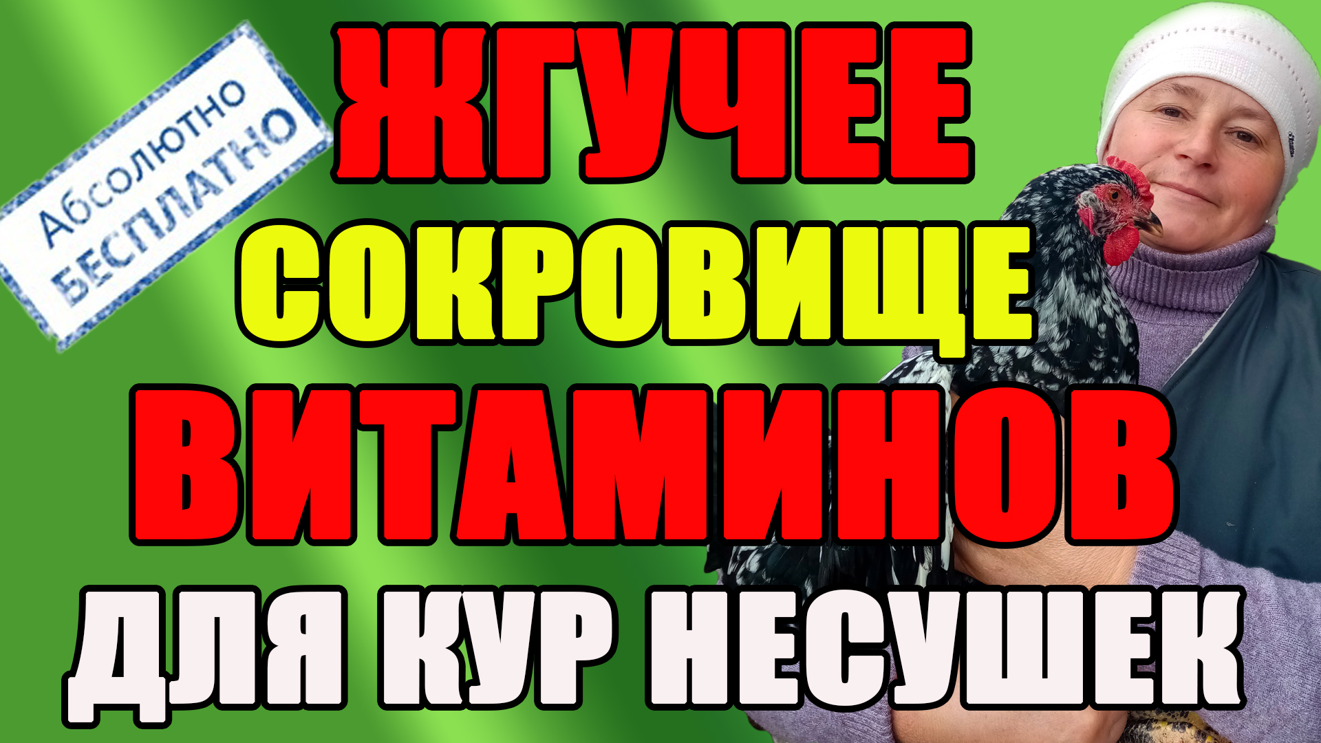Жгучее сокровище витаминов для кур несушек. смотреть онлайн