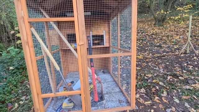 РАЗВЕДЕНИЕ КУР. МОЙ КУРЯТНИК В ГЕРМАНИИ. БЕЗЗАБОТНОЕ СЕЛЬСКОЕ ХОЗЯЙСТВА. КАРЛИКОВЫЕ КУРЫ ИЛИ БОЛЬШИ смотреть онлайн