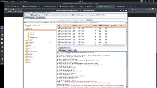 Real Bugs - API Information Disclosure смотреть онлайн