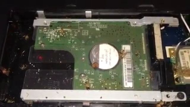 Гнездо тараканов в ноутбуке смотреть онлайн