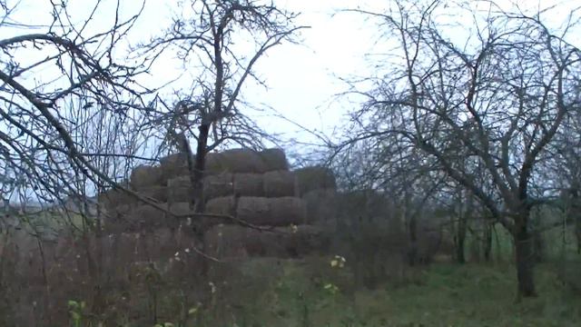 Переезд в деревню\Хороший дом с участком в деревне. смотреть онлайн