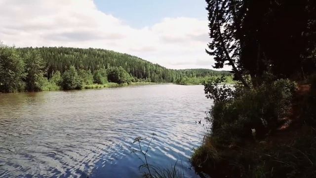 Красивое видео- РЕЛАКС: звуки природы, река и хвойный лес. смотреть онлайн
