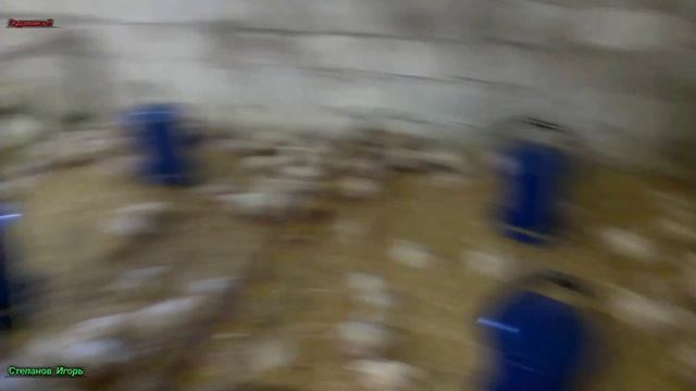 Бройлеры. Содержание на подстилке. Продолжение. смотреть онлайн