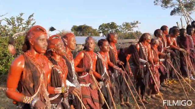 Masai All Prepares For Dancing.