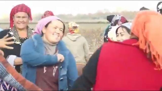 Водители Намангана: мы не безразличны к ценности нашей Родины» "ПАХТА-2018" смотреть онлайн