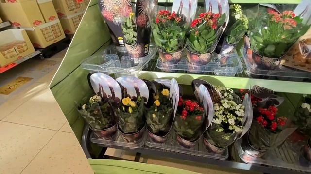 ЦВЕТОЧНЫЙ РАЙ В МАГАЗИНЕ LIDL! смотреть онлайн