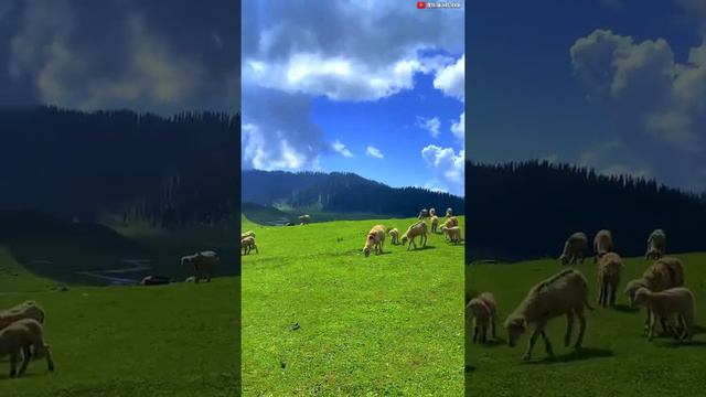 #Trailer Unseen Himalayas Bangus Valley смотреть онлайн