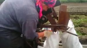 Картофелеуборочный комбайн своими руками. 2015г