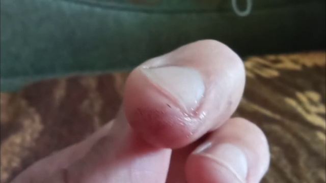 Букашка Гуру. Букашка видео. Белая букашка. смотреть онлайн