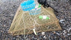 Рыбалка на Охотском море.  Часть 2.  Краб, камбала