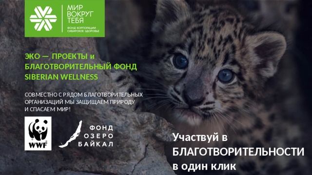 Преимущества бизнеса с Siberian Wellness