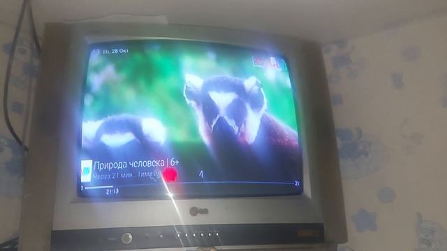 Детские каналы на триколор подключили на год за 1500р. 28 октября 2022 г. смотреть онлайн