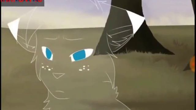 Коты воители ~ Белогривка ~ Это судьба приподносит урок смотреть онлайн