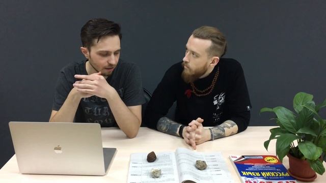 МОГУТ ЛИ КАМНИ СДАТЬ ЕГЭ? смотреть онлайн