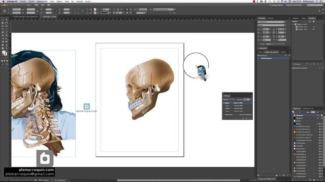 Tutorial Illustrator a InDesign смотреть онлайн