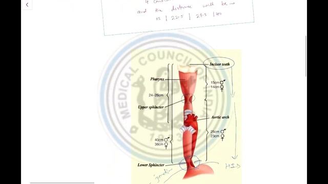 Surgery GIT MCI mcqs by Telegram Poll 26 & 29 Oct 2019 | Quick Revision and MCQs explanation смотреть онлайн