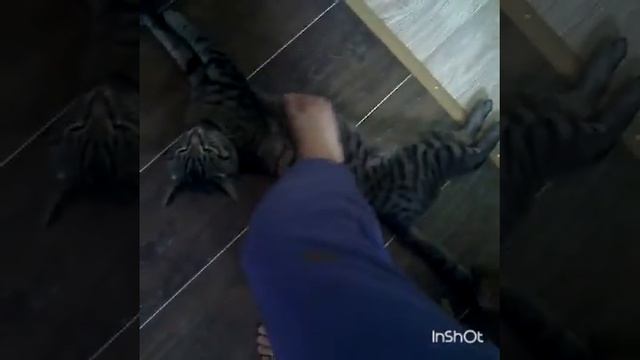 Коврик для ног смотреть онлайн
