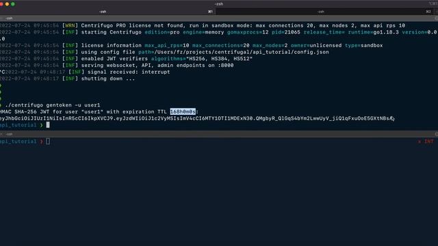 Centrifugo server API walkthrough. Part 1: publish, broadcast, presence, presence stats смотреть онлайн