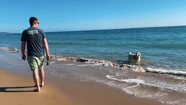 VW Grand California in GIBRALTAR! We drove 1500 miles to get HERE! Ep. 4 смотреть онлайн