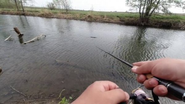 JS company Bixod N Air. Первое знакомство и злые поклёвки майских щук.