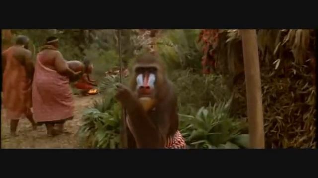 Ace Ventura - Shikaka! смотреть онлайн