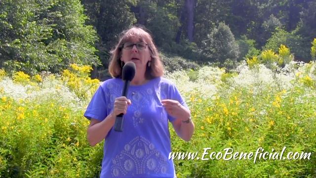 EcoBeneficial Tips: The Pollinator Victory Garden смотреть онлайн