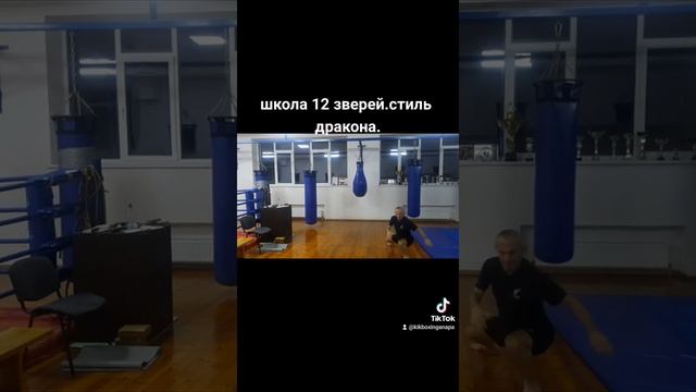 школа 12 зверей.стиль дркона. смотреть онлайн