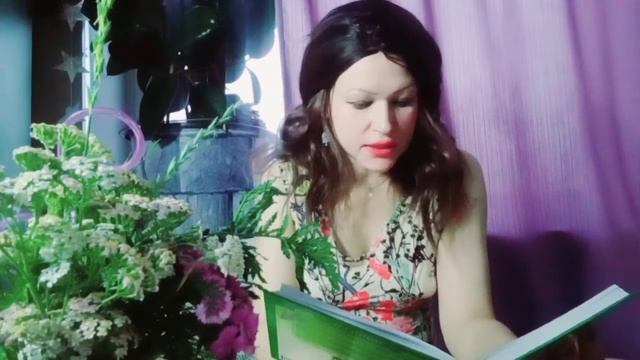 Тысячелистник обыкновенный. Achilléa Millefólium. #тысячелистник