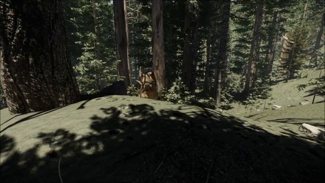 Collision Course Alpha Release смотреть онлайн