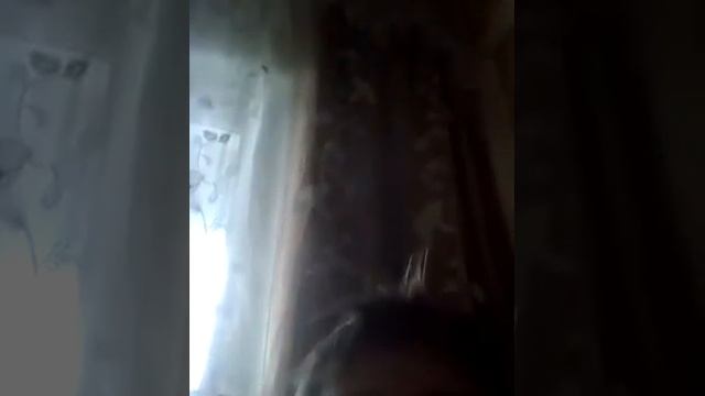 Подарили гироскутер 2 смотреть онлайн