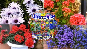 Самое время сеять в  Феврале.  НОВИНКИ сезона. Советуемся и советуем